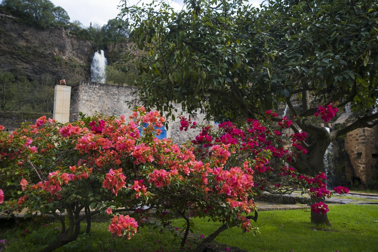 Hacienda Santa Maria Regla Ξενοδοχείο Huasca de Ocampo Εξωτερικό φωτογραφία